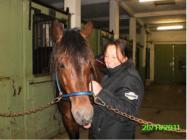 "na gut, dann kuscheln wir, wenn du das unbedingt willst..."